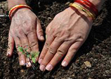 Dedicate a Compost Station